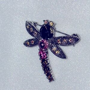 Dragonfly Brooch